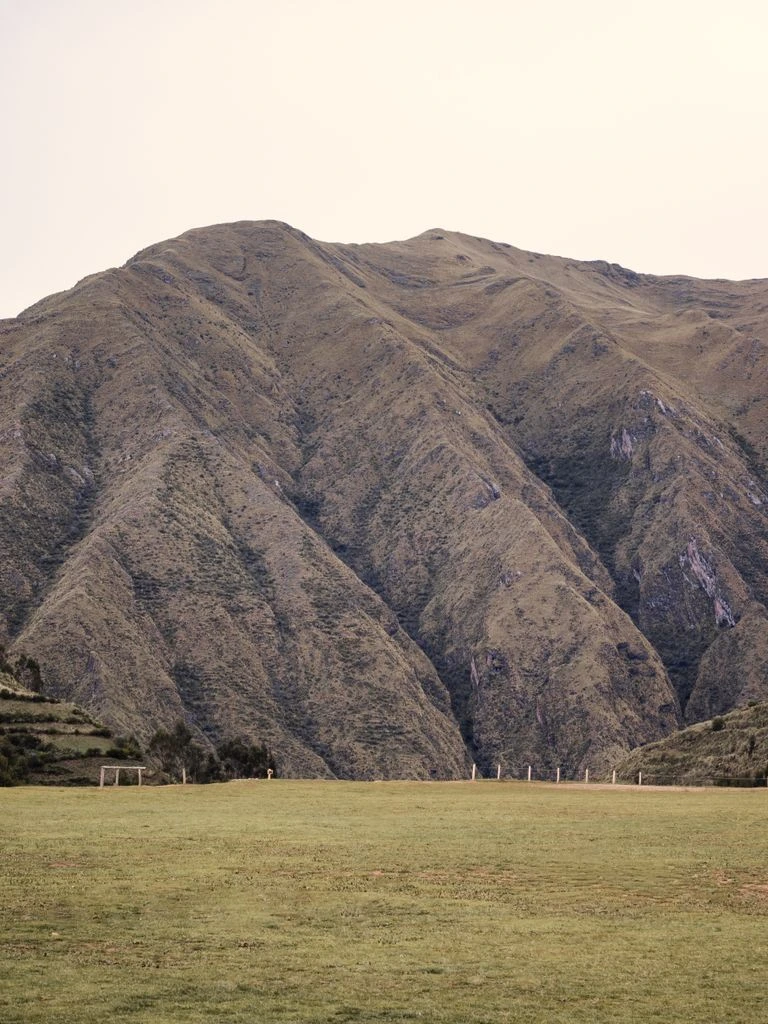 Farmworker walking between mango tree rows in a Peruvian orchard near Piura